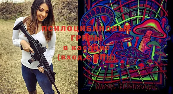 PSILOCYBIN Нязепетровск