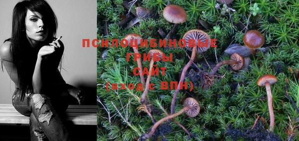 PSILOCYBIN Нязепетровск